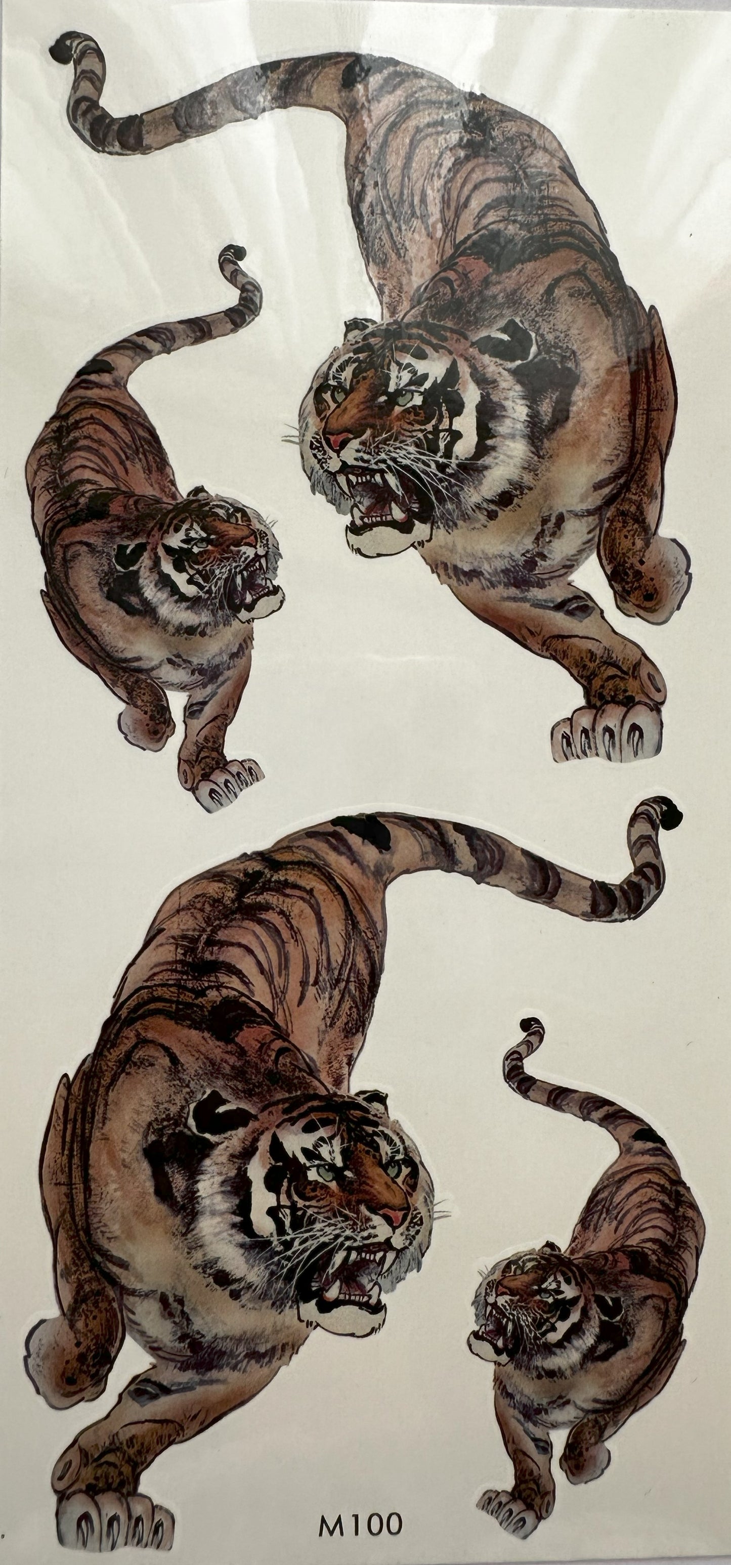 TIGRE-M100